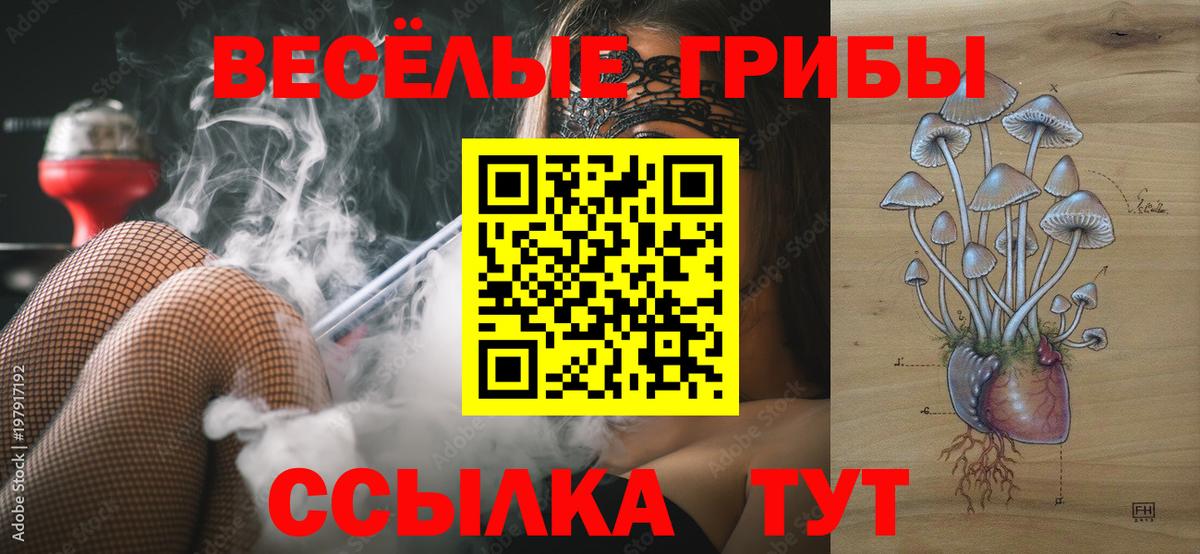 Псилоцибиновые грибы мицелий  Псилоцибиновые грибы GOLDEN TEACHER  Вход с VPN  Спасск-Дальний 